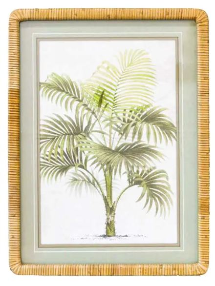 Bahamas Print B