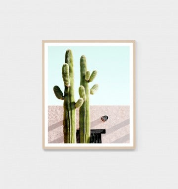 Cactus Villa Print