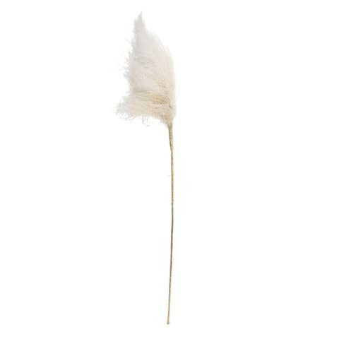 Reed Grass Spray Cream