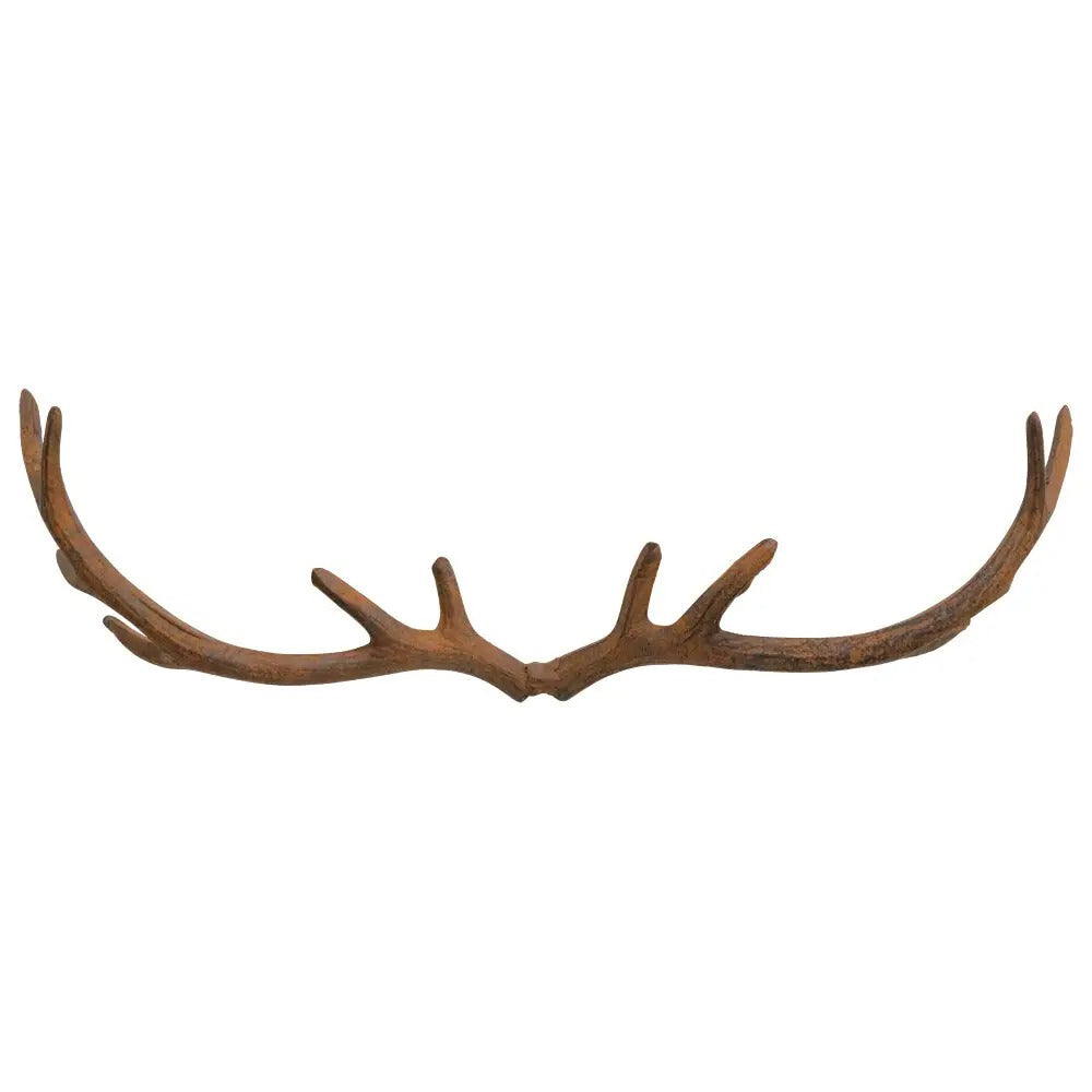 Wide Antler
