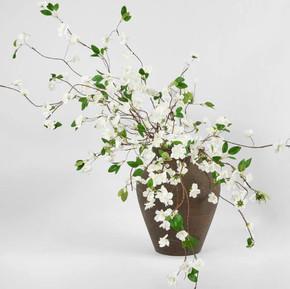 Wild Clematis Spray
