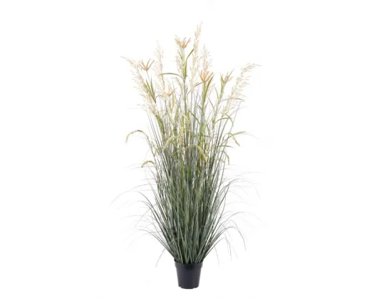 Wild Grass Potted 150cm