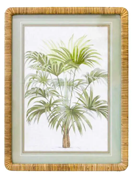 Bahamas Print A