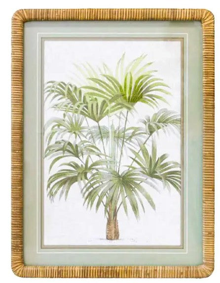Bahamas Print A