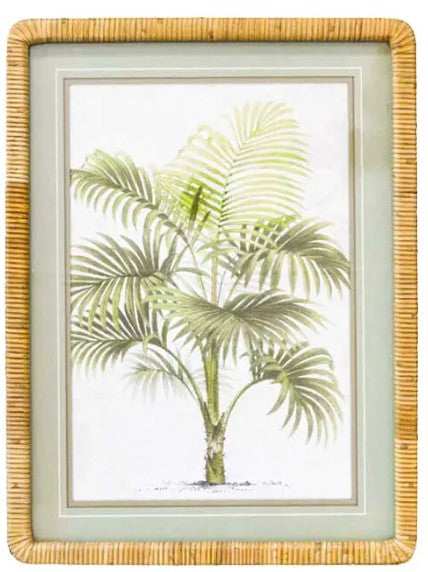 Bahamas Print B