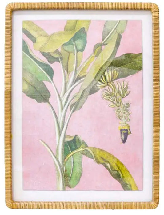 Banana Palm Print A