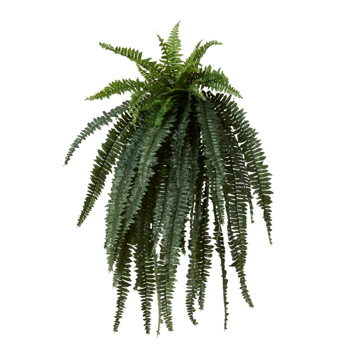 Boston Faux Fern
