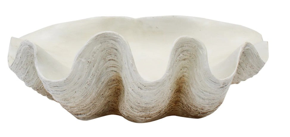 Clam Shell XL