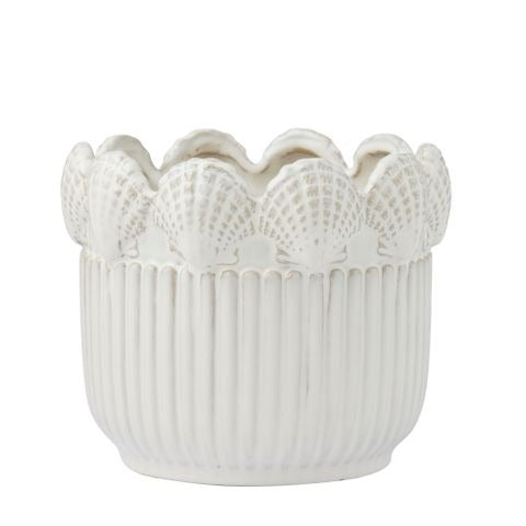 Coquillage Pot