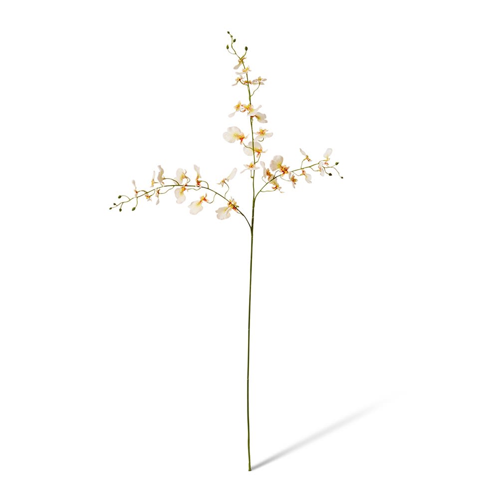 Dancing Orchid Spray