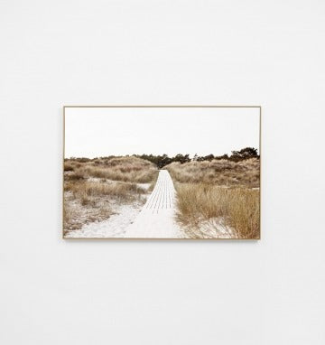 Dune Footpath Canvas