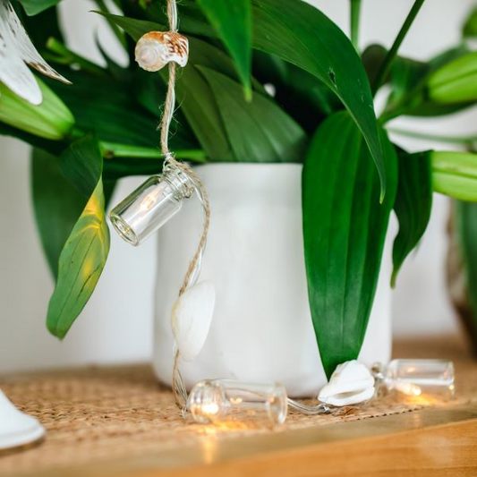LED Garland with Bottles & Shells