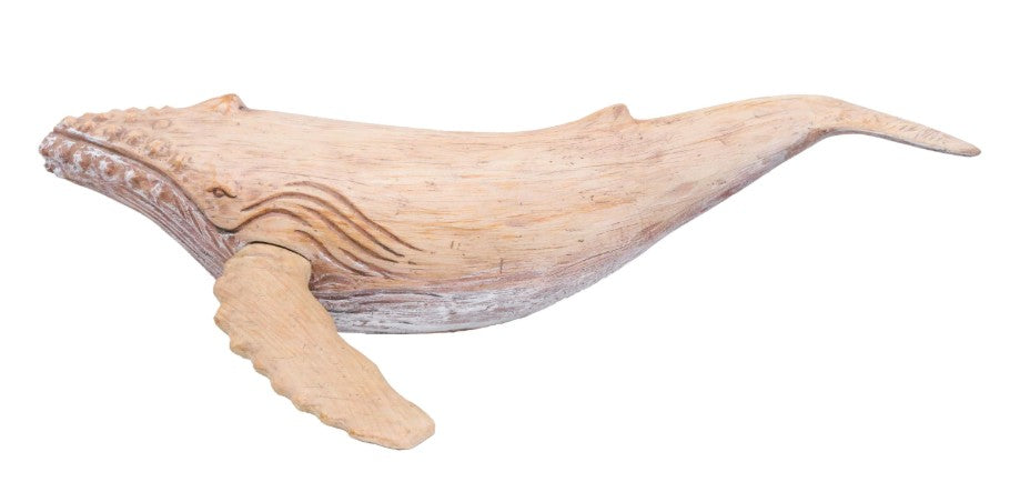 Majestic Whale
