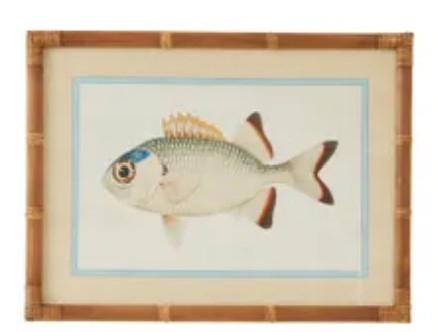 Nemo Print A