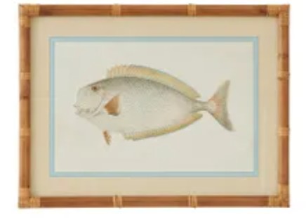 Nemo Print C
