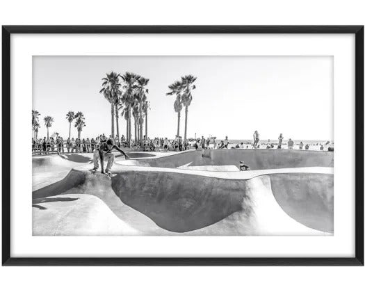 Palm Skate Print