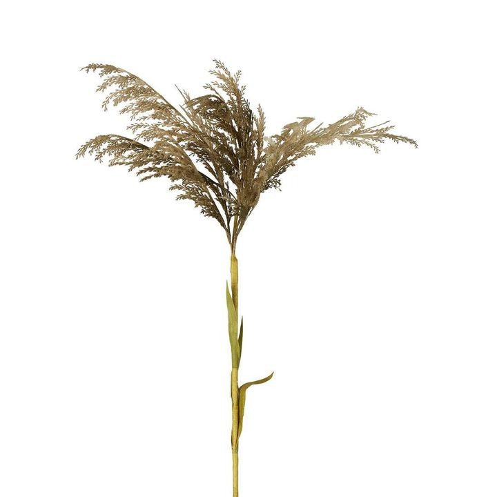 Pampas Spray Grey