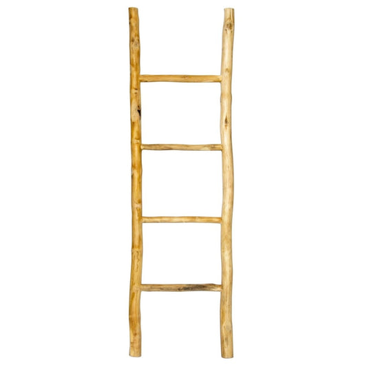 Ladder 150
