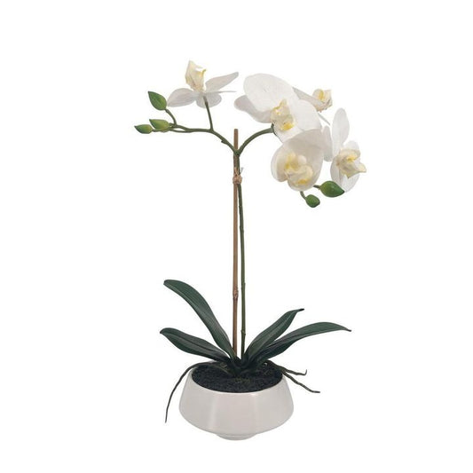 White Orchid Pot